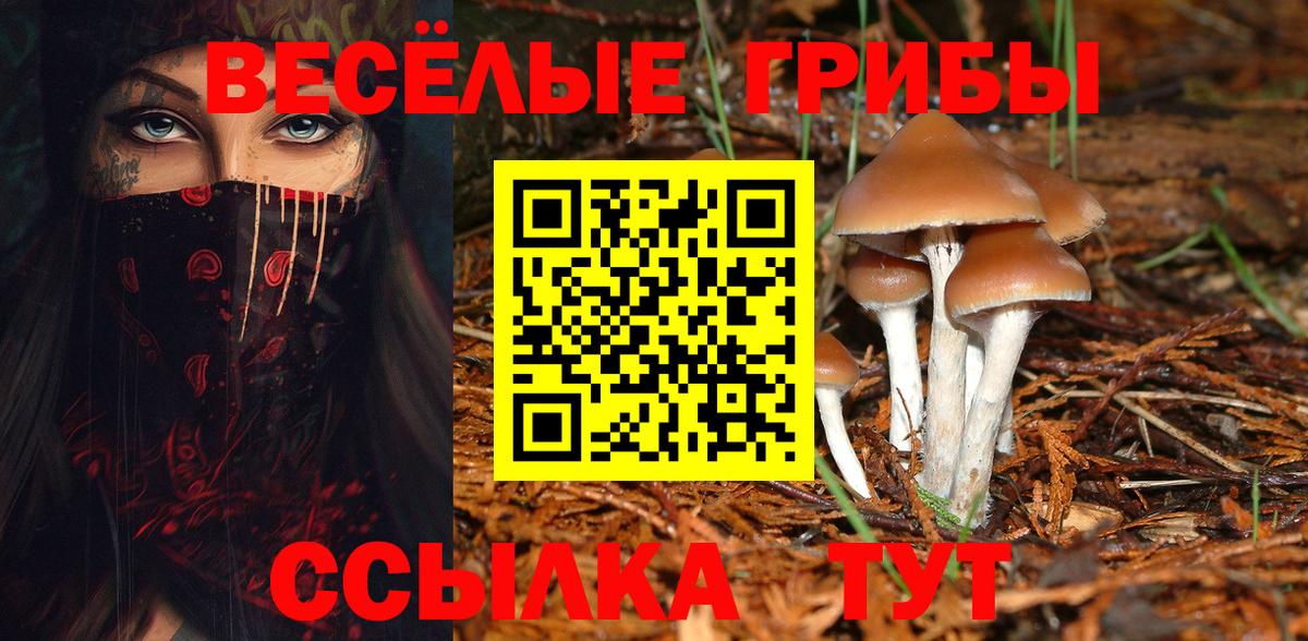 Галлюциногенные грибы Cubensis Великие Луки